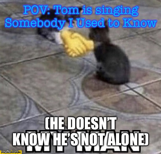 Tom: Have you ever felt so happy you could die...? | POV: Tom is singing Somebody I Used to Know; (HE DOESN’T KNOW HE’S NOT ALONE) | image tagged in cats shaking hands | made w/ Imgflip meme maker
