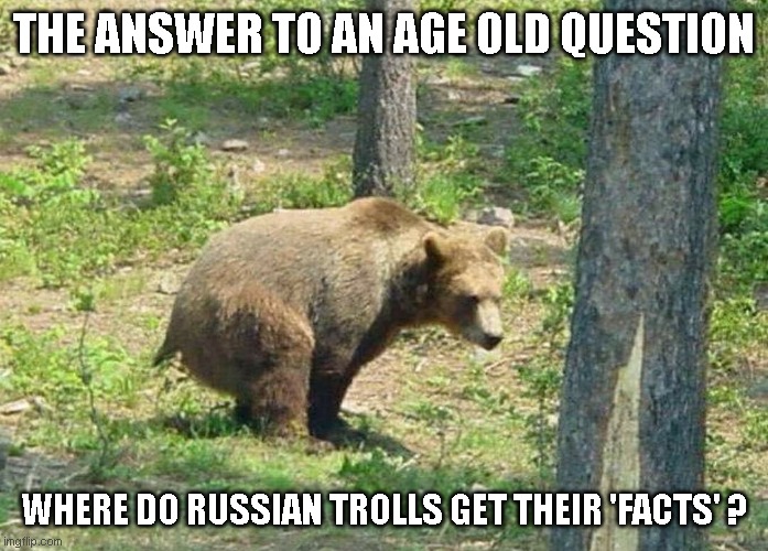 The Truth Is Out There | THE ANSWER TO AN AGE OLD QUESTION; WHERE DO RUSSIAN TROLLS GET THEIR 'FACTS' ? | image tagged in bear shit in woods,russian bots,russians | made w/ Imgflip meme maker