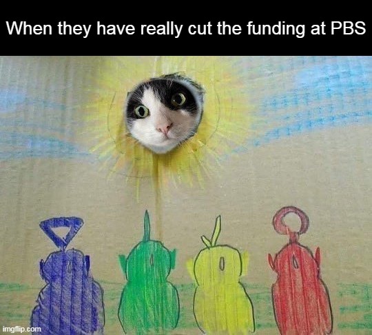 When they have really cut the funding at PBS | image tagged in meme,memes,humor,dank memes | made w/ Imgflip meme maker