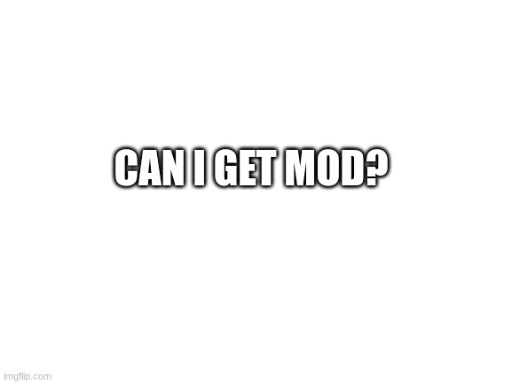plz | CAN I GET MOD? | image tagged in blank white template,memes,funny,mod,plz | made w/ Imgflip meme maker