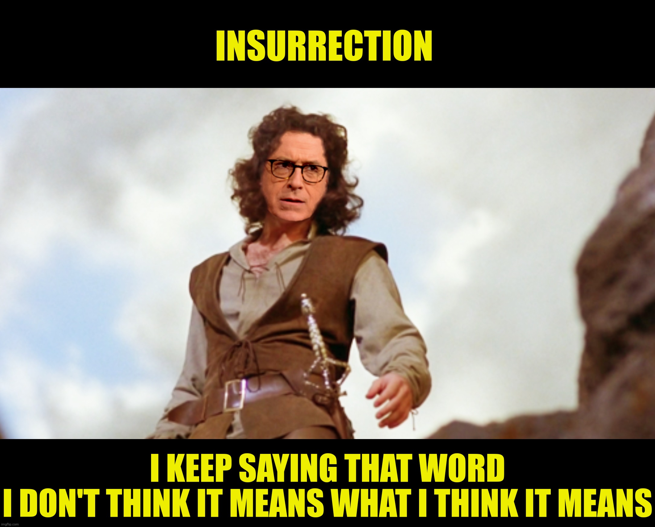 INSURRECTION I KEEP SAYING THAT WORD
I DON'T THINK IT MEANS WHAT I THINK IT MEANS | made w/ Imgflip meme maker
