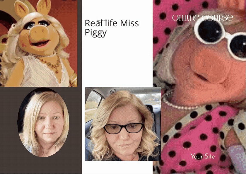 High Quality Real Life Miss Piggy Blank Meme Template