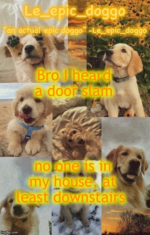 Doggo temp by doggo. Wait what that’s confusing | Bro I heard a door slam; no one is in my house, at least downstairs | image tagged in doggo temp by doggo wait what that s confusing | made w/ Imgflip meme maker