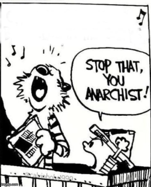 Stop That, You Anarchist! | image tagged in stop that you anarchist | made w/ Imgflip meme maker