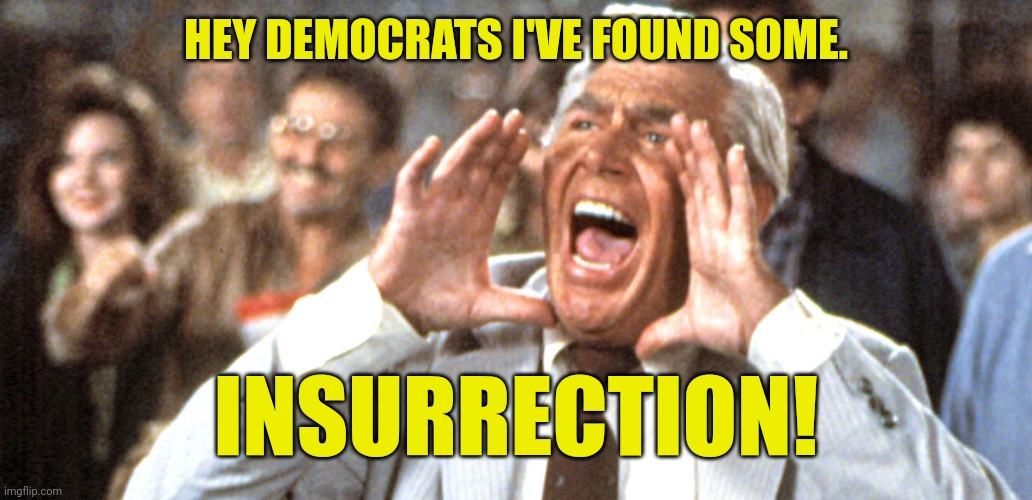 HEY DEMOCRATS I'VE FOUND SOME. INSURRECTION! | made w/ Imgflip meme maker