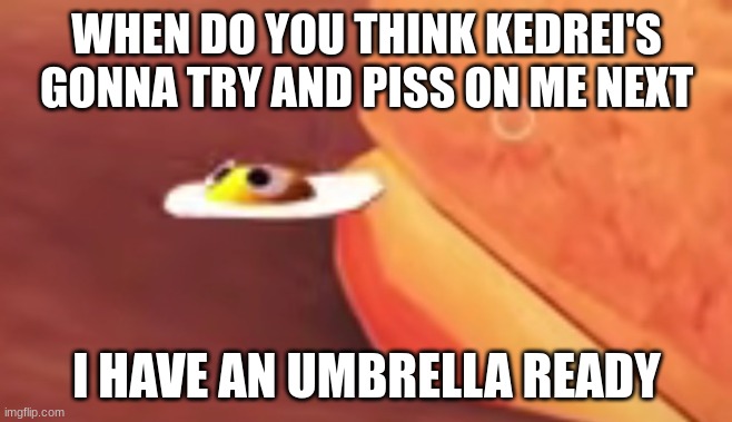 the magical flying eggler | WHEN DO YOU THINK KEDREI'S GONNA TRY AND PISS ON ME NEXT; I HAVE AN UMBRELLA READY | image tagged in the magical flying eggler | made w/ Imgflip meme maker