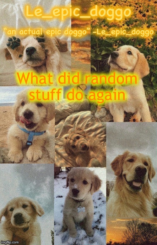 Doggo temp by doggo. Wait what that’s confusing | What did random stuff do again | image tagged in doggo temp by doggo wait what that s confusing | made w/ Imgflip meme maker