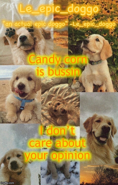 Doggo temp by doggo. Wait what that’s confusing | Candy corn is bussin; I don’t care about your opinion | image tagged in doggo temp by doggo wait what that s confusing | made w/ Imgflip meme maker