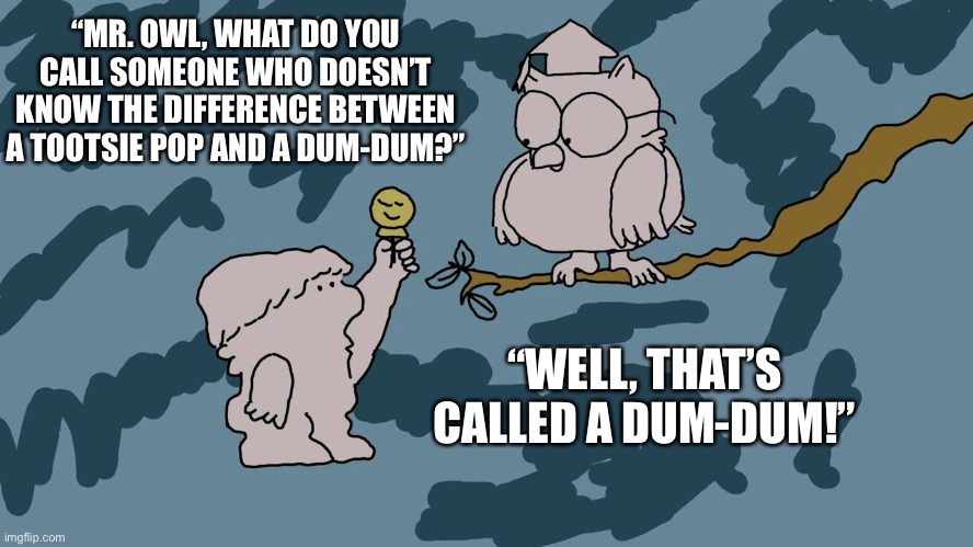 Mr Owl | “MR. OWL, WHAT DO YOU CALL SOMEONE WHO DOESN’T KNOW THE DIFFERENCE BETWEEN A TOOTSIE POP AND A DUM-DUM?” “WELL, THAT’S CALLED A DUM-DUM!” | image tagged in mr owl | made w/ Imgflip meme maker