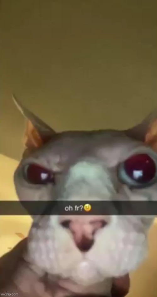 bro looks like an uncooked chicken | made w/ Imgflip meme maker
