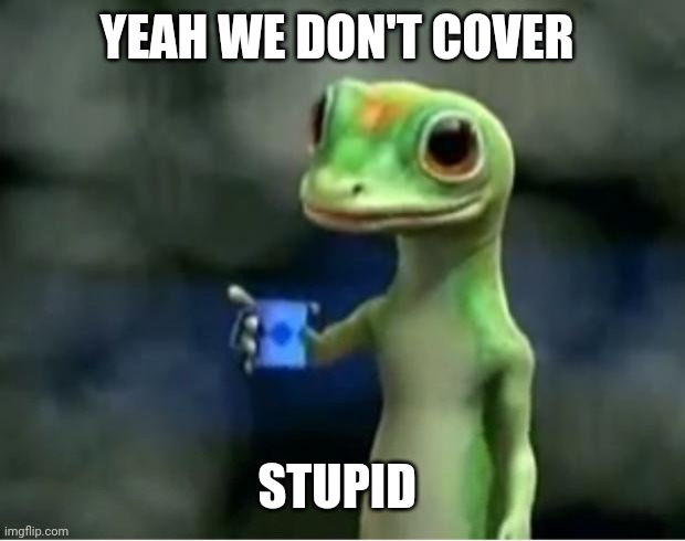 Geico Gecko | YEAH WE DON'T COVER STUPID | image tagged in geico gecko | made w/ Imgflip meme maker