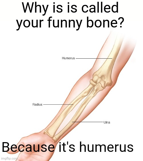 Why is is called your funny bone? Because it's humerus | image tagged in dad joke,sorry,lol | made w/ Imgflip meme maker