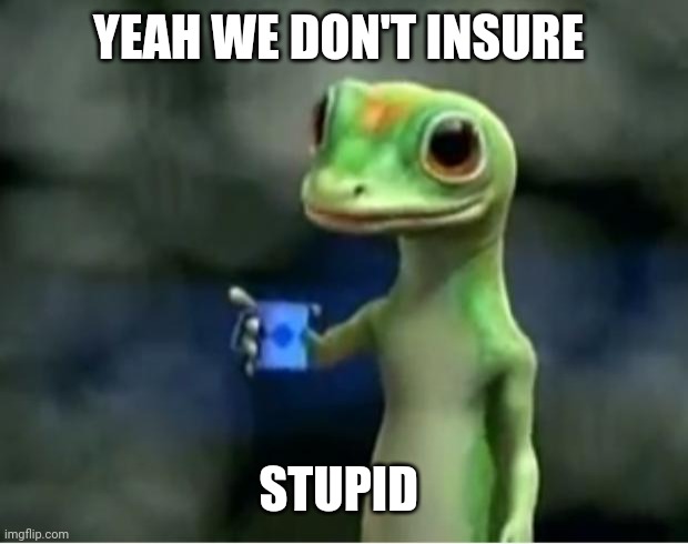 Geico Gecko | YEAH WE DON'T INSURE STUPID | image tagged in geico gecko | made w/ Imgflip meme maker