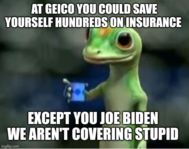 Geico Gecko | AT GEICO YOU COULD SAVE YOURSELF HUNDREDS ON INSURANCE EXCEPT YOU JOE BIDEN 
WE AREN'T COVERING STUPID | image tagged in geico gecko | made w/ Imgflip meme maker