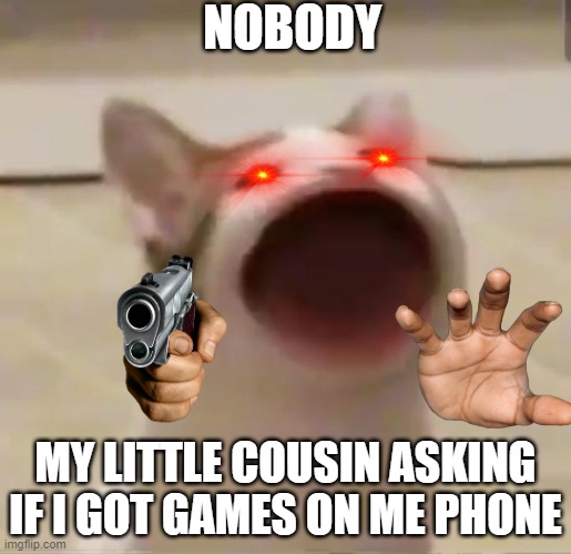 GOT GAMES ON YO FONE | NOBODY; MY LITTLE COUSIN ASKING IF I GOT GAMES ON ME PHONE | image tagged in pop cat | made w/ Imgflip meme maker