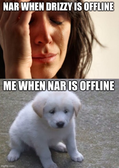 NAR WHEN DRIZZY IS OFFLINE; ME WHEN NAR IS OFFLINE | image tagged in memes,first world problems,sad sad doggo ' | made w/ Imgflip meme maker