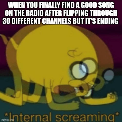 seriously tho | WHEN YOU FINALLY FIND A GOOD SONG ON THE RADIO AFTER FLIPPING THROUGH 30 DIFFERENT CHANNELS BUT IT'S ENDING | image tagged in jake the dog internal screaming,funny memes,funny,memes | made w/ Imgflip meme maker