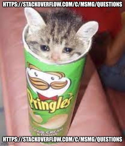 https://stackoverflow.com/c/msmg/questions | HTTPS://STACKOVERFLOW.COM/C/MSMG/QUESTIONS; HTTPS://STACKOVERFLOW.COM/C/MSMG/QUESTIONS | image tagged in pringle cat | made w/ Imgflip meme maker