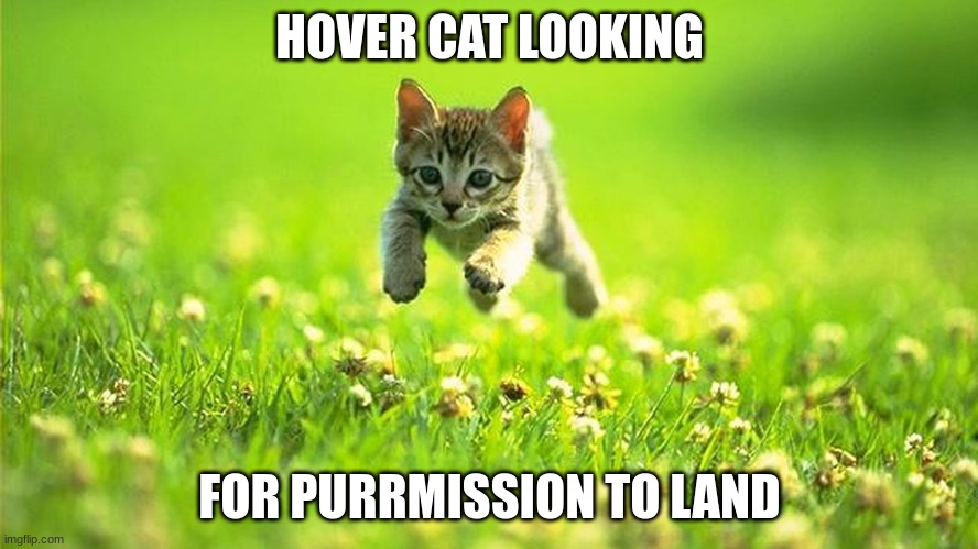 hover cat | HOVER CAT LOOKING; FOR PURRMISSION TO LAND | image tagged in hover cat | made w/ Imgflip meme maker