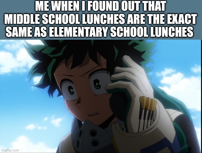 Deku phone | ME WHEN I FOUND OUT THAT MIDDLE SCHOOL LUNCHES ARE THE EXACT SAME AS ELEMENTARY SCHOOL LUNCHES | image tagged in deku phone | made w/ Imgflip meme maker