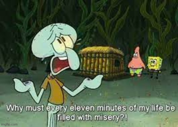 Why must every 11 minutes of my life be filled with misery?! | image tagged in why must every 11 minutes of my life be filled with misery | made w/ Imgflip meme maker