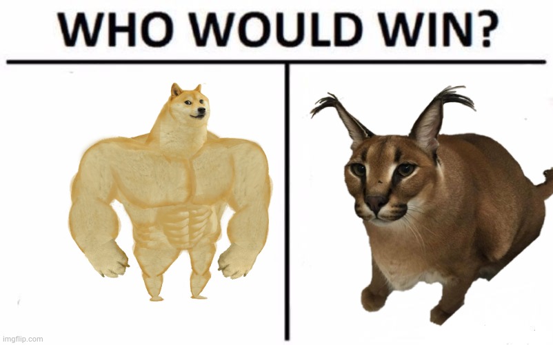 Who Would Win? | image tagged in memes,who would win | made w/ Imgflip meme maker