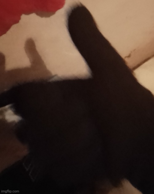 Just got new gloves | made w/ Imgflip meme maker