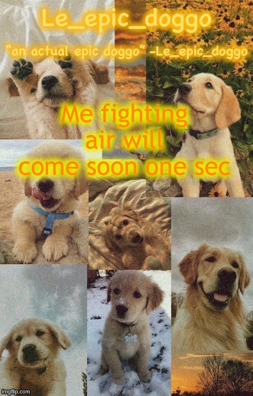 Doggo temp by doggo. Wait what that’s confusing | Me fighting air will come soon one sec | image tagged in doggo temp by doggo wait what that s confusing | made w/ Imgflip meme maker