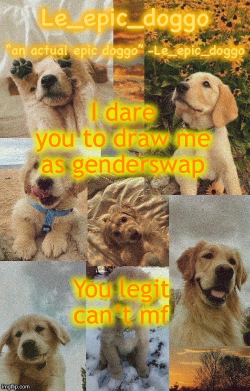 Doggo temp by doggo. Wait what that’s confusing | I dare you to draw me as genderswap; You legit can’t mf | image tagged in doggo temp by doggo wait what that s confusing | made w/ Imgflip meme maker