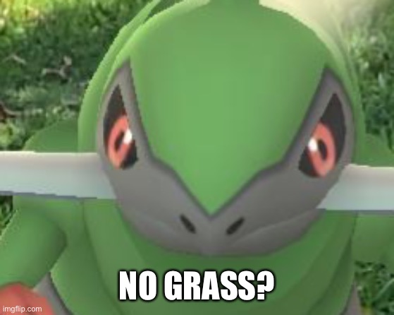 Memes with my Pokémon go buddy part 2 | NO GRASS? | made w/ Imgflip meme maker