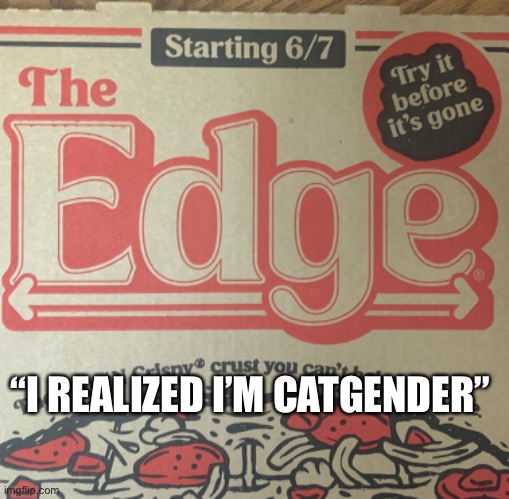 “I REALIZED I’M CATGENDER” | made w/ Imgflip meme maker