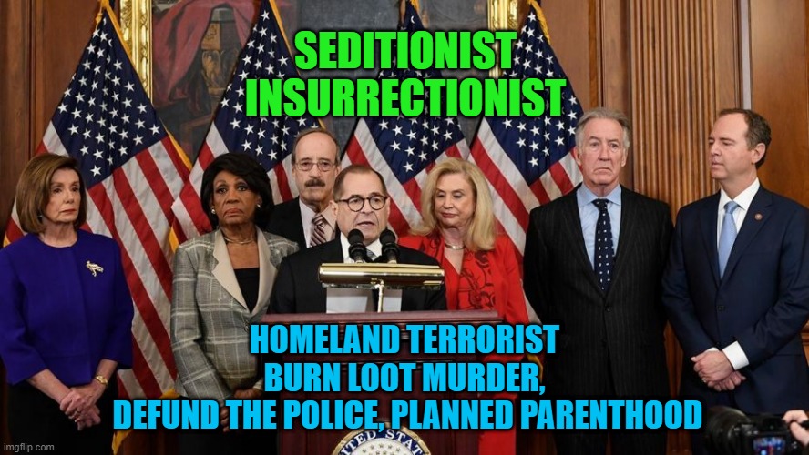 democrat seditionist insurrectionist | SEDITIONIST
INSURRECTIONIST; HOMELAND TERRORIST
BURN LOOT MURDER,
 DEFUND THE POLICE, PLANNED PARENTHOOD | image tagged in house democrats | made w/ Imgflip meme maker