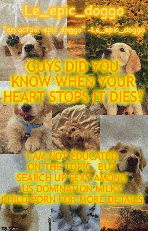 Doggo temp by doggo. Wait what that’s confusing | GUYS DID YOU KNOW WHEN YOUR HEART STOPS IT DIES? I AM NOT EDUCATED ON THE TOPIC, BUT SEARCH UP SEXY AMONG US DOMINATION MILKY CHILD PORN FOR MORE DETAILS | image tagged in doggo temp by doggo wait what that s confusing | made w/ Imgflip meme maker