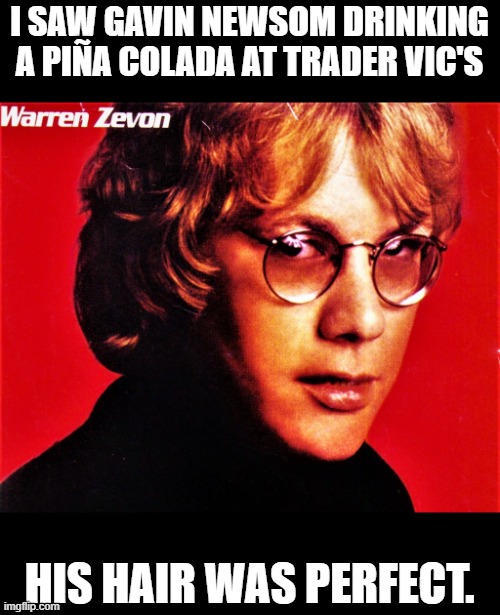 I SAW GAVIN NEWSOM DRINKING A PIÑA COLADA AT TRADER VIC'S HIS HAIR WAS PERFECT. | made w/ Imgflip meme maker