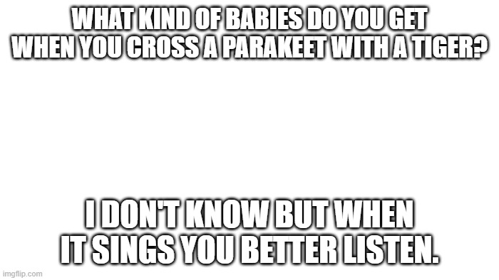 TRANSPARENT | WHAT KIND OF BABIES DO YOU GET WHEN YOU CROSS A PARAKEET WITH A TIGER? I DON'T KNOW BUT WHEN IT SINGS YOU BETTER LISTEN. | image tagged in transparent | made w/ Imgflip meme maker