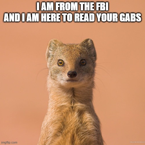 weasel | I AM FROM THE FBI
AND I AM HERE TO READ YOUR GABS | made w/ Imgflip meme maker