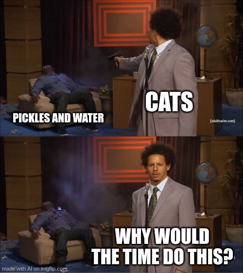 Who Killed Hannibal | CATS; PICKLES AND WATER; WHY WOULD THE TIME DO THIS? | image tagged in memes,who killed hannibal | made w/ Imgflip meme maker