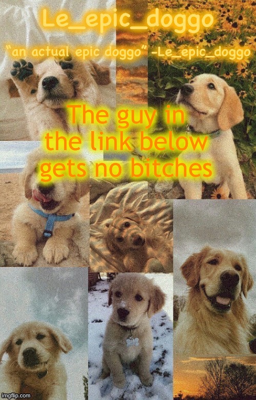 Doggo temp by doggo. Wait what that’s confusing | The guy in the link below gets no bitches | image tagged in doggo temp by doggo wait what that s confusing | made w/ Imgflip meme maker