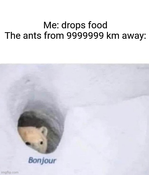 . | Me: drops food
The ants from 9999999 km away: | image tagged in bonjour | made w/ Imgflip meme maker