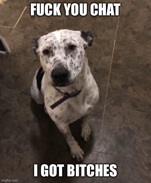 FUCK YOU CHAT; I GOT BITCHES | made w/ Imgflip meme maker