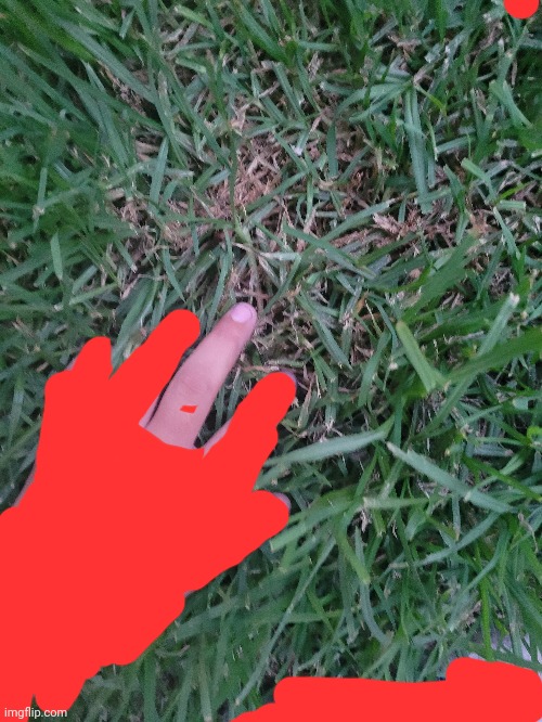 Only middle finger | made w/ Imgflip meme maker