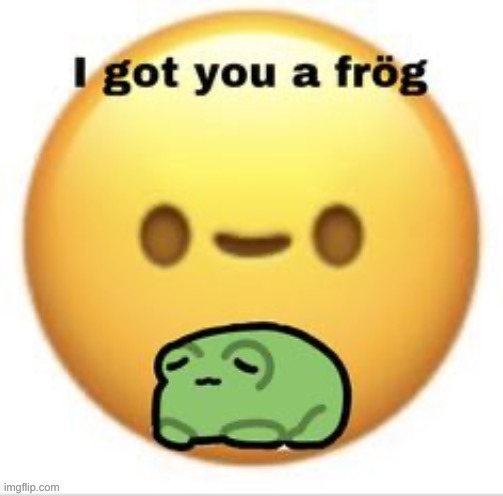 i got you a frog | image tagged in i got you a frog | made w/ Imgflip meme maker