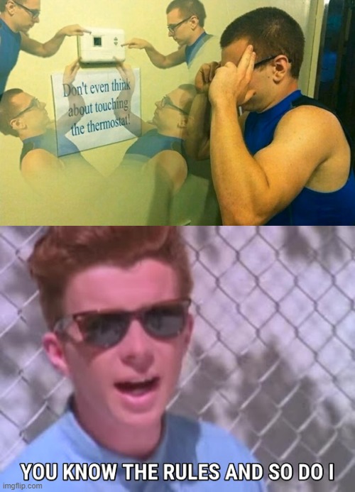 image tagged in rick astley you know the rules | made w/ Imgflip meme maker