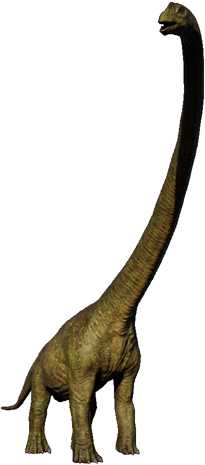 Mamenchisaurus (JWE Design) Blank Meme Template
