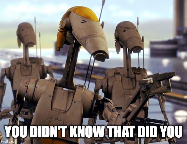 Battle Droid Pointing | YOU DIDN'T KNOW THAT DID YOU | image tagged in battle droid pointing | made w/ Imgflip meme maker
