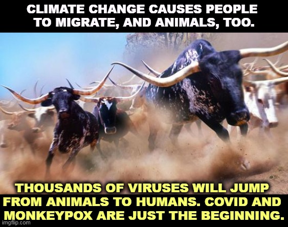 Stampede! | CLIMATE CHANGE CAUSES PEOPLE 
TO MIGRATE, AND ANIMALS, TOO. THOUSANDS OF VIRUSES WILL JUMP 
FROM ANIMALS TO HUMANS. COVID AND 
MONKEYPOX ARE JUST THE BEGINNING. | image tagged in stampede,global warming,climate change,immigration,virus,covid | made w/ Imgflip meme maker