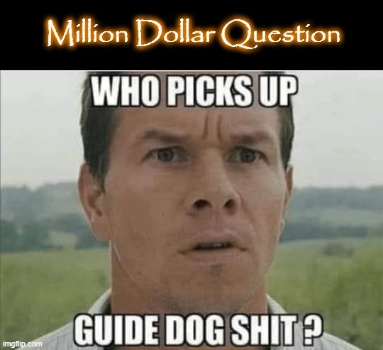 Guide Dog Shit ! | image tagged in dog poop | made w/ Imgflip meme maker
