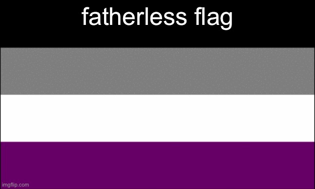 ace flag | fatherless flag | image tagged in ace flag | made w/ Imgflip meme maker