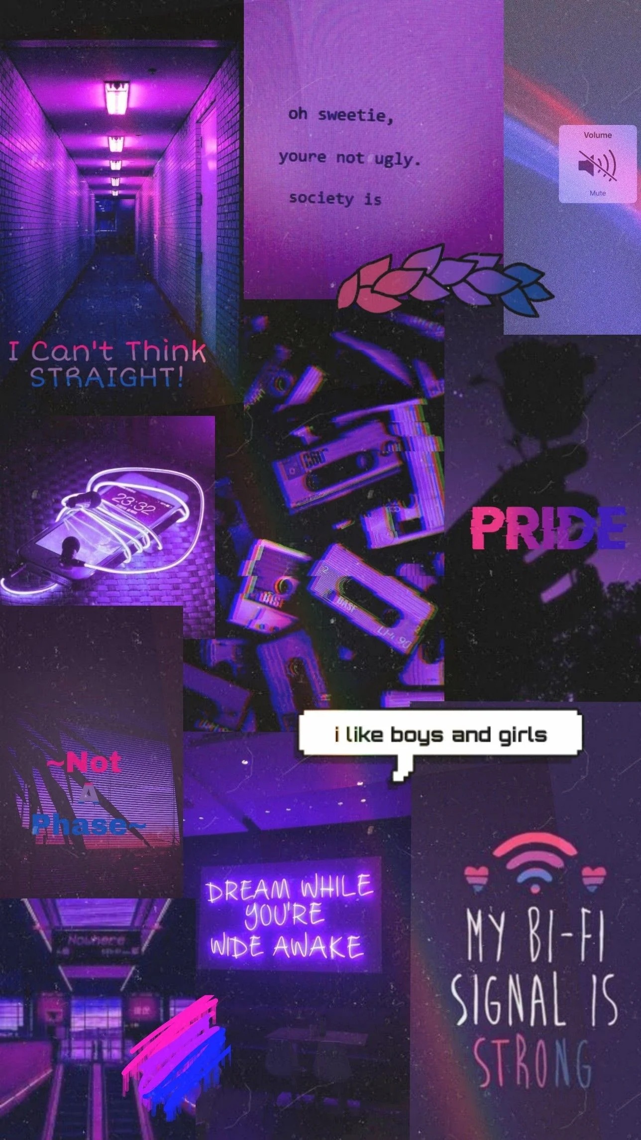 Bisexual aesthetic Blank Meme Template