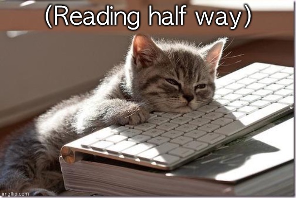 Bored Keyboard Cat | (Reading half way) | image tagged in bored keyboard cat | made w/ Imgflip meme maker